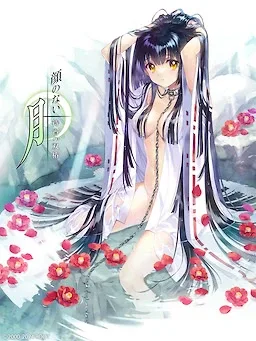 无颜之月-待宵双椿 无颜之月待宵双椿 animate游戏下载 封面图